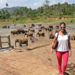 Miss-Olga-Alawa-Miss-Earth-2011 during a tour at the Elephant Orphanage in March 2013